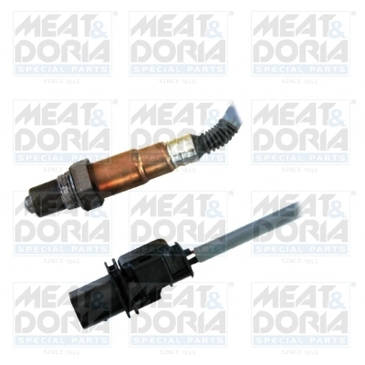 Oxygen Sensor